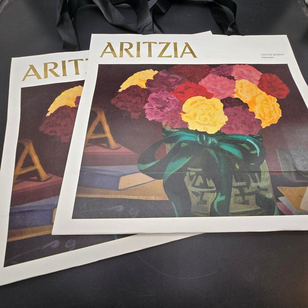 Aritzia Bag Caitlin Murphy Art Recycled Paper Totes Set Ribbon Handles VL2103
